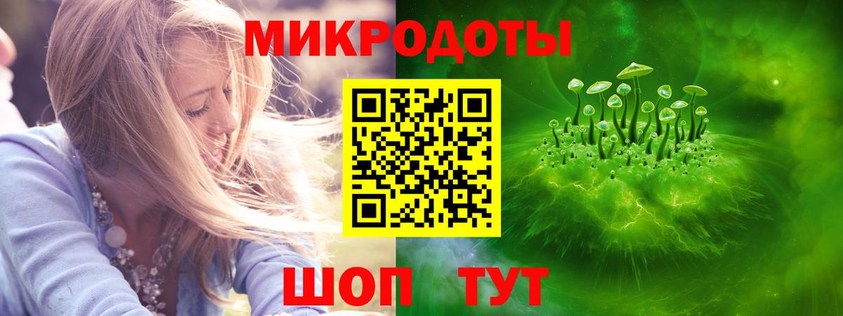 Галлюциногенные грибы мухоморы Вышний Волочёк